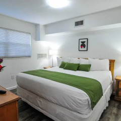Отель Regency Inn & Suites 2* Люкс с различными типами кроватей фото 9