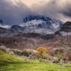 Отель El Balcón de Onís фото 2