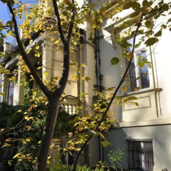 Отель Villa Sommerschuh Германия, Дрезден - отзывы, цены и фото номеров - забронировать отель Villa Sommerschuh онлайн фото 7