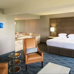 Doubletree By Hilton Hotel Bloomington - Minneapolis South 4* Стандартный номер фото 3