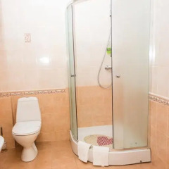 Гостиница Дионис 4* Улучшенный номер с различными типами кроватей фото 9