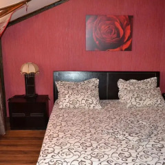 Gnezdo Gluharya Hotel Люкс с различными типами кроватей фото 6