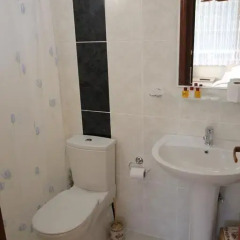 Manzara Butik Otel Стандартный номер с различными типами кроватей фото 8