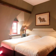 Hotel Ter Brughe 4* Номер категории Эконом с различными типами кроватей фото 2
