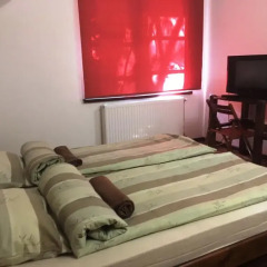 Гостиница Дубки 3* Стандартный номер с двуспальной кроватью фото 2