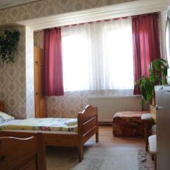 Отель Aranykorona Hotel Венгрия, Силвашварад - отзывы, цены и фото номеров - забронировать отель Aranykorona Hotel онлайн комната для гостей фото 2