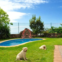 Отель Casa Rural DoÑa Herminda Ла-Матанса-де-Асентехо детские мероприятия
