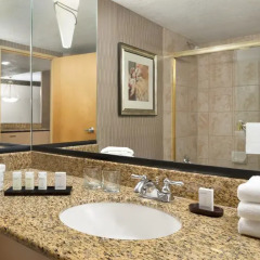 Отель Embassy Suites by Hilton Convention Center Las Vegas 3* Люкс с различными типами кроватей фото 7