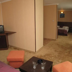 Hotel Jagoda 88 удобства в номере
