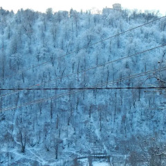 Отель Arami House Армения, Дилижан - отзывы, цены и фото номеров - забронировать отель Arami House онлайн фото 5