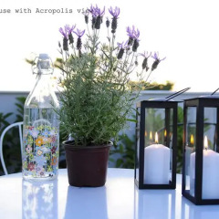 Отель Live in Athens, short stay apartments Греция, Афины - отзывы, цены и фото номеров - забронировать отель Live in Athens, short stay apartments онлайн балкон фото 2