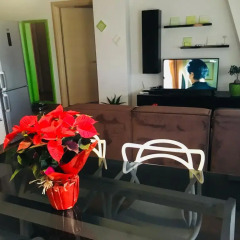 Отель Geri Apartment Албания, Тирана - отзывы, цены и фото номеров - забронировать отель Geri Apartment онлайн в номере