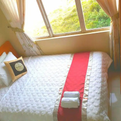 Golden Pine Hotel Улучшенный номер