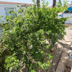 Отель Estel Blanc Apartaments - Adults Only Номер категории Премиум с различными типами кроватей фото 10