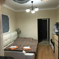 Гостиница Joy Hotel and Apartments в Сочи отзывы, цены и фото номеров - забронировать гостиницу Joy Hotel and Apartments онлайн комната для гостей фото 2