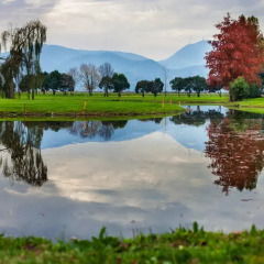 Отель Radisson Blu Majestic Hotel Galzignano Италия, Региональный парк Colli Euganei - отзывы, цены и фото номеров - забронировать отель Radisson Blu Majestic Hotel Galzignano онлайн приотельная территория