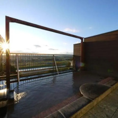 Nanpeidai Onsen Hotel Насусиобара бассейн