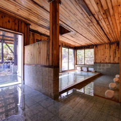 Отель Sachinoyu Onsen Насусиобара бассейн фото 2