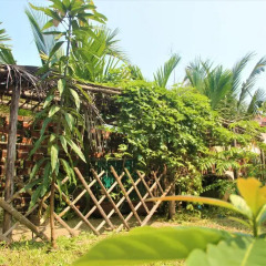 Отель Dragon Sea Homestay Хойан фото 19