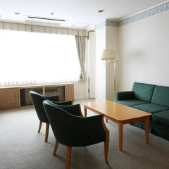 Hotel Mt. Fuji 3* Стандартный номер фото 7