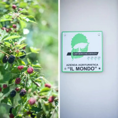 Отель Agriturismo Il Mondo Парма интерьер отеля