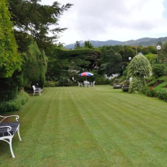 Отель Royal Cocoon - Nuwara Eliya фото 18