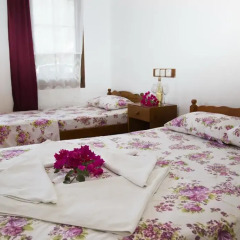 Flower Pension Hotel Стандартный номер с различными типами кроватей