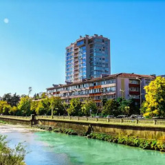 Yozh Hostel Сочи приотельная территория