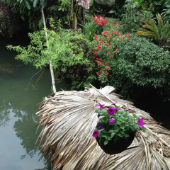 Отель Ta Phin Stone Garden Ecological Шапа