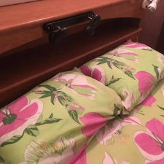 Hostel Zeleniy Dom Стандартный номер с разными типами кроватей фото 4