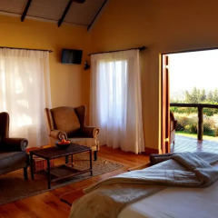 Отель Addo Dung Beetle Guest Farm 4* Шале с различными типами кроватей фото 6