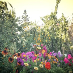 Гостиница Kremlevsky Guest House фото 5