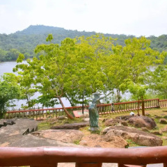 Отель Kodigahawewa Forest Resort 3* Стандартный номер с различными типами кроватей фото 12