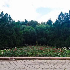 Отель Home Hotel Bishkek Кыргызстан, Бишкек - отзывы, цены и фото номеров - забронировать отель Home Hotel Bishkek онлайн
