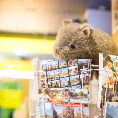 Wombats City Hostel Мюнхен развлечения