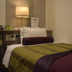 Asakusa Central Hotel 3* Стандартный номер с двуспальной кроватью фото 7