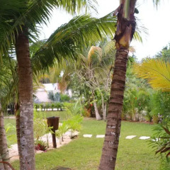 Отель Villa Tulum Hotel Италия, Рим - отзывы, цены и фото номеров - забронировать отель Villa Tulum Hotel онлайн фото 13