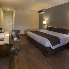 Hotel Victoria Ejecutivo 3* Стандартный номер с различными типами кроватей