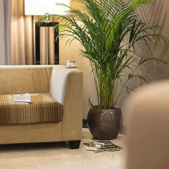 Отель Dominic & Smart Luxury Suites Republic Square 4* Представительский люкс с различными типами кроватей фото 7
