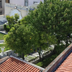 Отель São Vicente House балкон