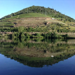 Отель Quinta de la Rosa фото 4