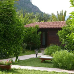 Aida Hotel 3* Бунгало с различными типами кроватей фото 3