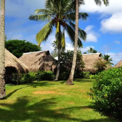 Hotel Hibiscus фото 12