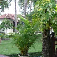 Отель Hai Au Mui Ne Beach Resort & Spa 4* Улучшенный номер фото 6