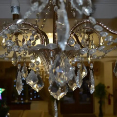 Astoria Hotel развлечения