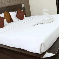 Hotel Anand 2* Люкс с различными типами кроватей фото 8