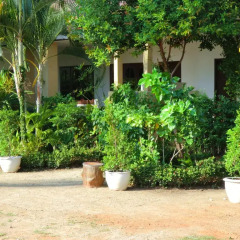 Отель The Krabi Forest Homestay 2* Стандартный номер с различными типами кроватей фото 17
