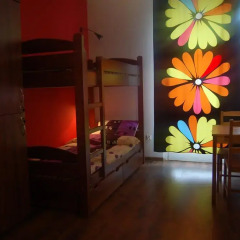 Very Berry Hostel Стандартный номер с различными типами кроватей фото 3