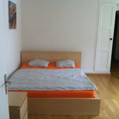 Апартаменты Garden Studio Apartment Zürichberg Студия с различными типами кроватей фото 26