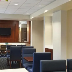Отель Hilton Suites Chicago/Magnificent Mile интерьер отеля